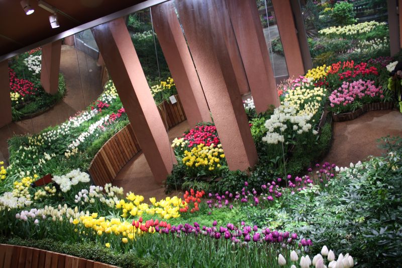 Không gian Tonami Tulip Gallery